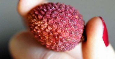 how to eat lychee